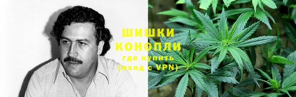 СК Волосово