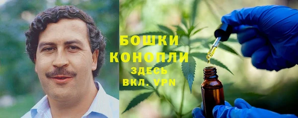 СК Волосово