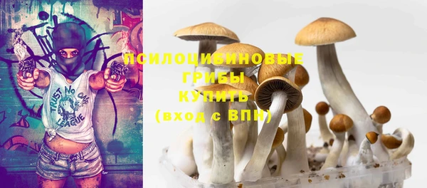 spice Вяземский