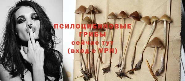 2c-b Вязники