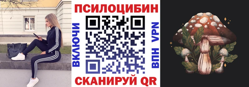 Галлюциногенные грибы MAGIC MUSHROOMS  Западная Двина 
